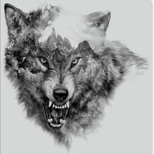 Meet your Posher, Patrick